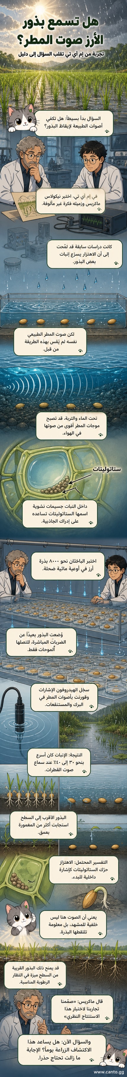 رسم توضيحي يظهر بذور أرز تحت سطح الماء، وتموجات صوتية من قطرات المطر تسقط من الأعلى، مع توضيح حركة الجسيمات داخل الخلية استجابة للصوت.
