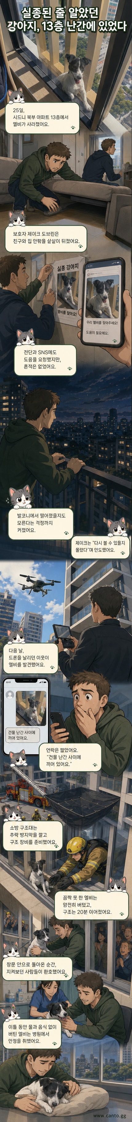 호주 13층 아파트 외벽 난간에 갇혀 있는 강아지 엘비가 소방대에 의해 창문을 통해 구조되는 장면.